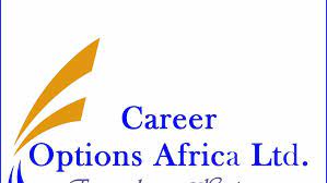 Online Events Manager at Career Options Africa Group