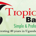 System Application Developer job at Tropical Bank