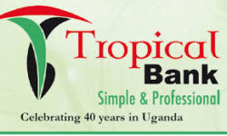 System Application Developer job at Tropical Bank