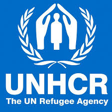 Assistant Information Management Officer job at UNHCR